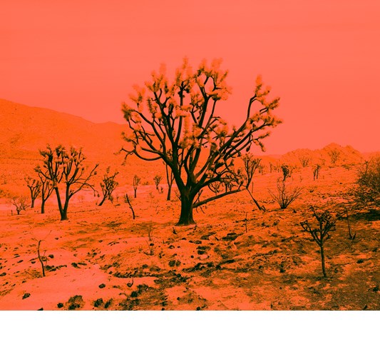 Rainer Hosch - “Apocalypse Now” 2020 - Archival Pigment print on Hahnemuehle Photo Rag Baryta,  Ed. 1+1 - 110 x 134 cm, 43 x 53 in